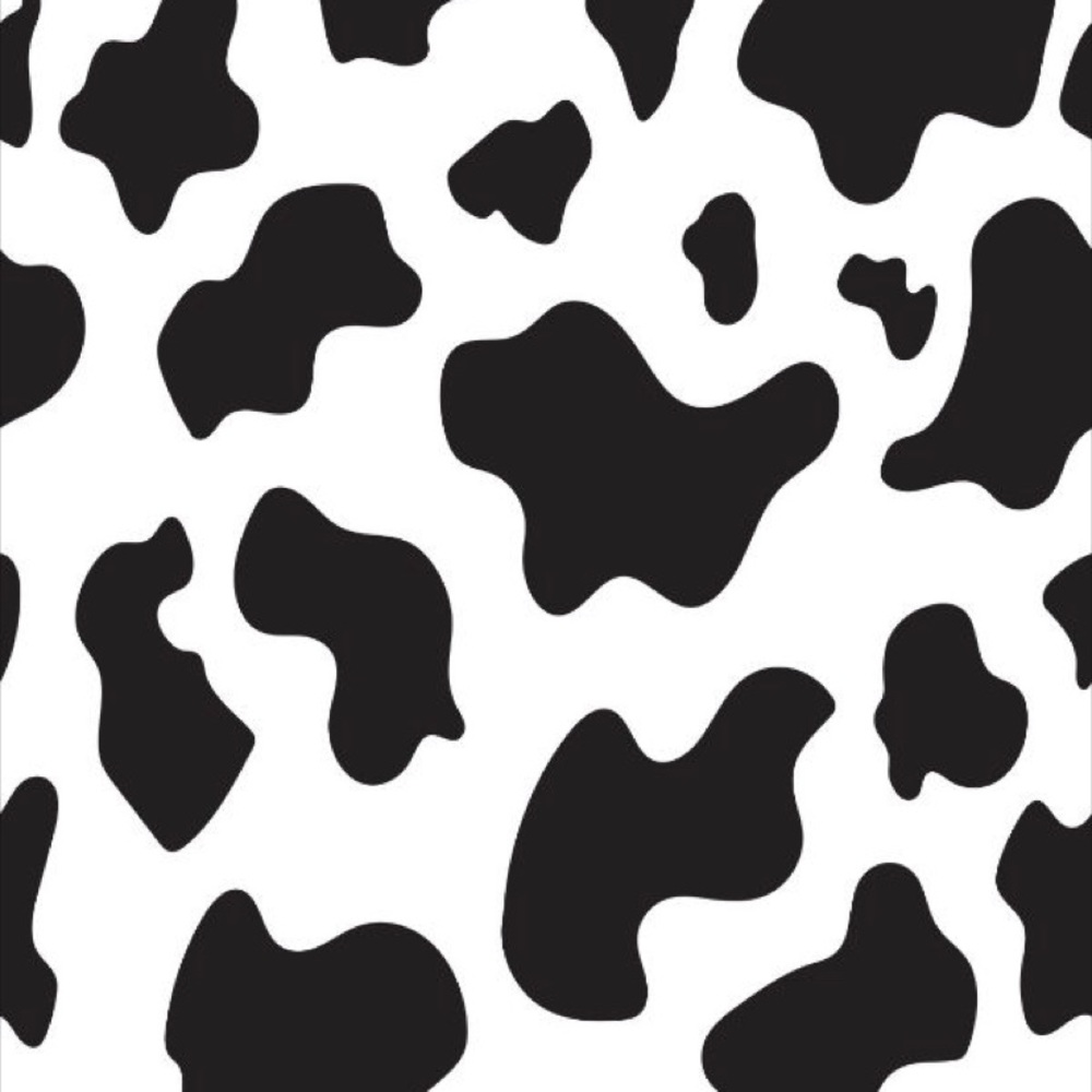 Meet your Posher, Lulu